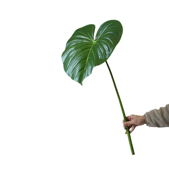 Simulated bird of paradise turtle back leaf green plant landscaping decoration