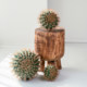 Simulated cactus potted succulents fake cactus