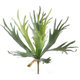Simulated staghorn leaves tropical sand plant leaves landscaping