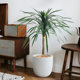Large simulated green plant Dracaena decorative landscaping potted plant