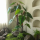 Simulated rich rainbow taro detachable fake green plants for landscaping