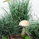 Simulated green plant haystack plant grass cluster decorative ornaments