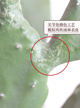 网红仿真莱昂仙人掌绿植盆栽摆件
