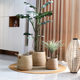 Woven flower basket, natural seaweed and rattan green plant set pot