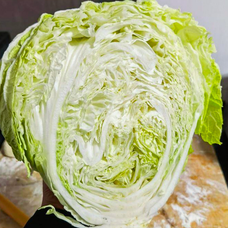 夏秋王大白菜种子种籽孑蔬菜黄心夏季耐热过年籽种山东胶州大全秋