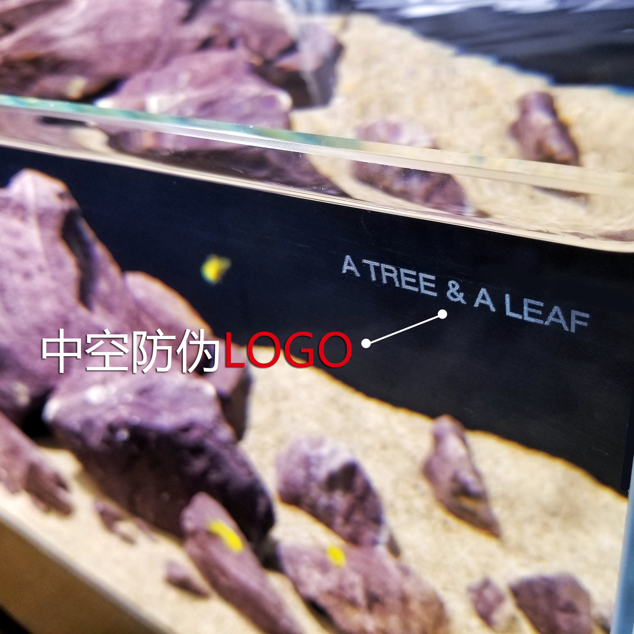 超白鱼缸 包邮 金晶超白 草缸 海水缸 造景缸一木一叶超白缸 - 图2