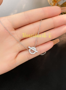 Q字猪鼻子项链纯银满钻锁骨链高级感女生轻奢气质小红书同款