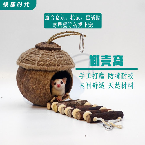 爬宠椰壳躲避屋 寄居蟹仓鼠金丝熊昆虫椰子壳洞穴 纯天然 更安心 - 图0