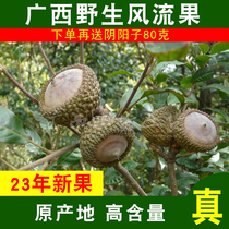 Guangxi Wild Wind Stream fruit 500g Big fruit New cargo stone fruit natural tea wine nourishing male health care material