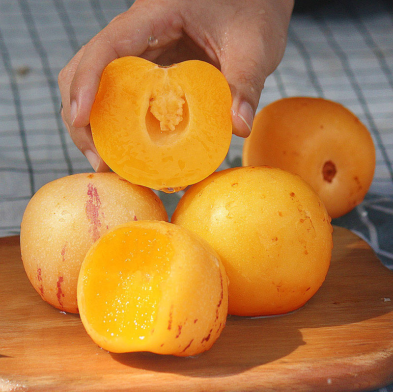 六井旗舰店云南石林人参果5斤 圆果水果新鲜大果包邮人叁果人生果当季整箱103