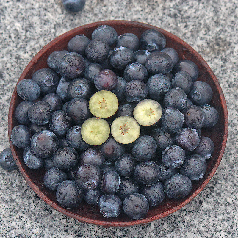 六井旗舰店丹东蓝莓大果新鲜500g鲜果蓝梅孕妇宝宝辅食当季水果护眼包邮2