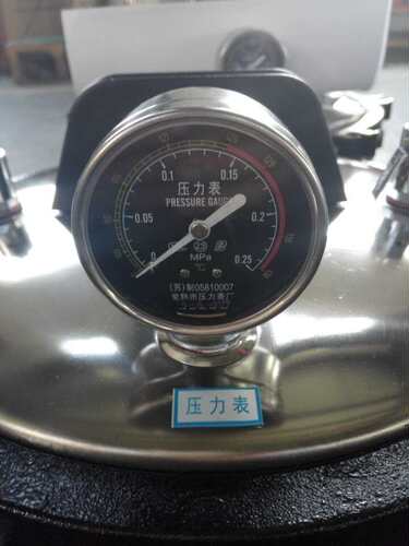 手提式高压消毒灭菌锅压力表0-0.25MPa带温度138度灭菌器用双刻度 - 图3