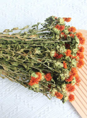 花开云间橙菠萝真花干花