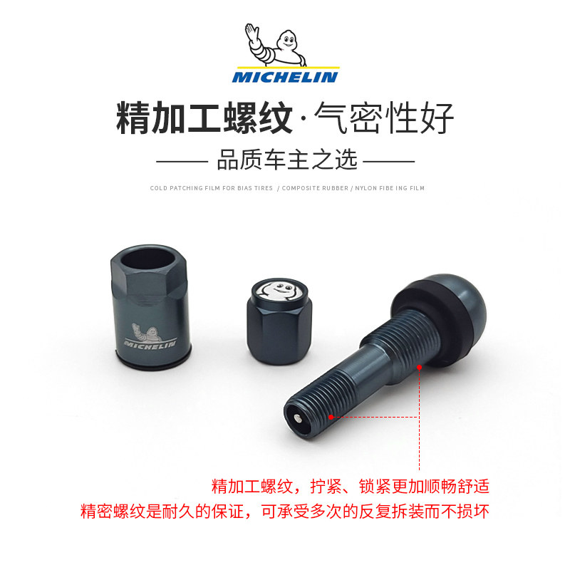 米其林汽车轮胎气门嘴轮毂真空胎铝合金气门芯套装轮胎帽盖原厂,淘宝优惠券,粉丝福利购,淘宝优惠卷