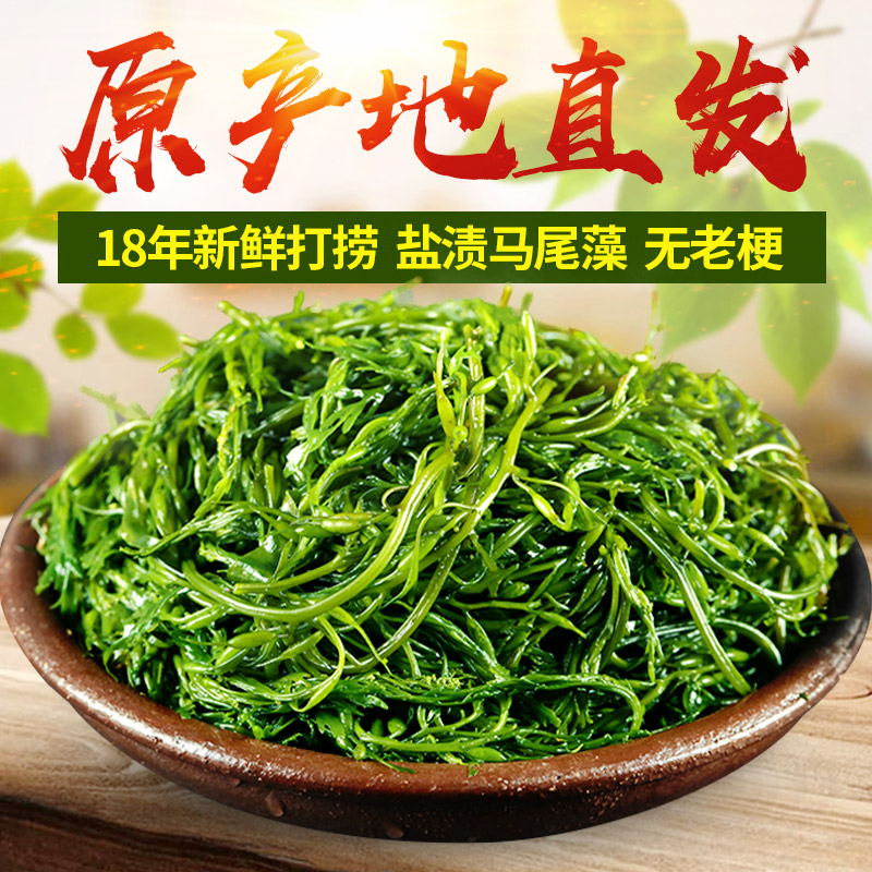 鞭炮笋新鲜海藻羊栖菜火锅凉拌菜海草5斤长寿菜荣成盐渍马尾藻-图0