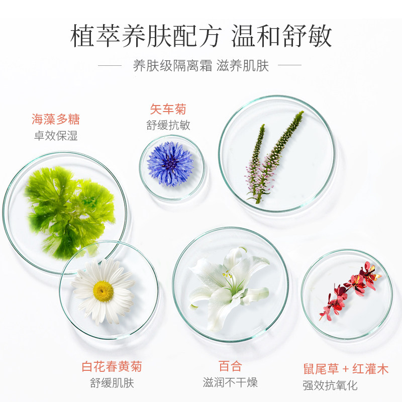 水密码防晒遮瑕三合一面部女隔离霜 水密码金未来隔离/妆前
