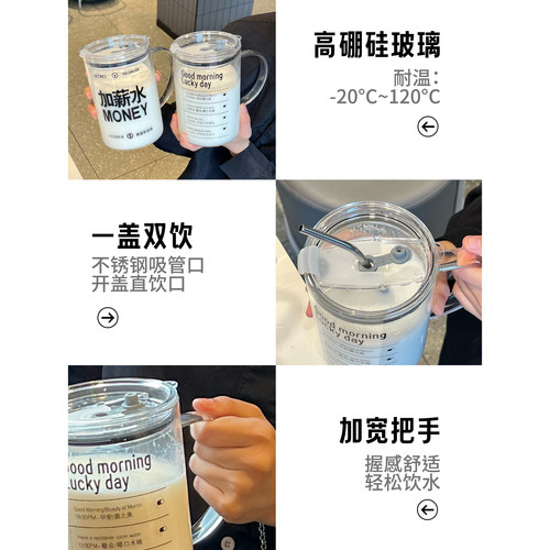 沐韩办公室水杯女高硼硅玻璃杯咖啡杯学生大容量杯子男把手吸管杯 - 图3