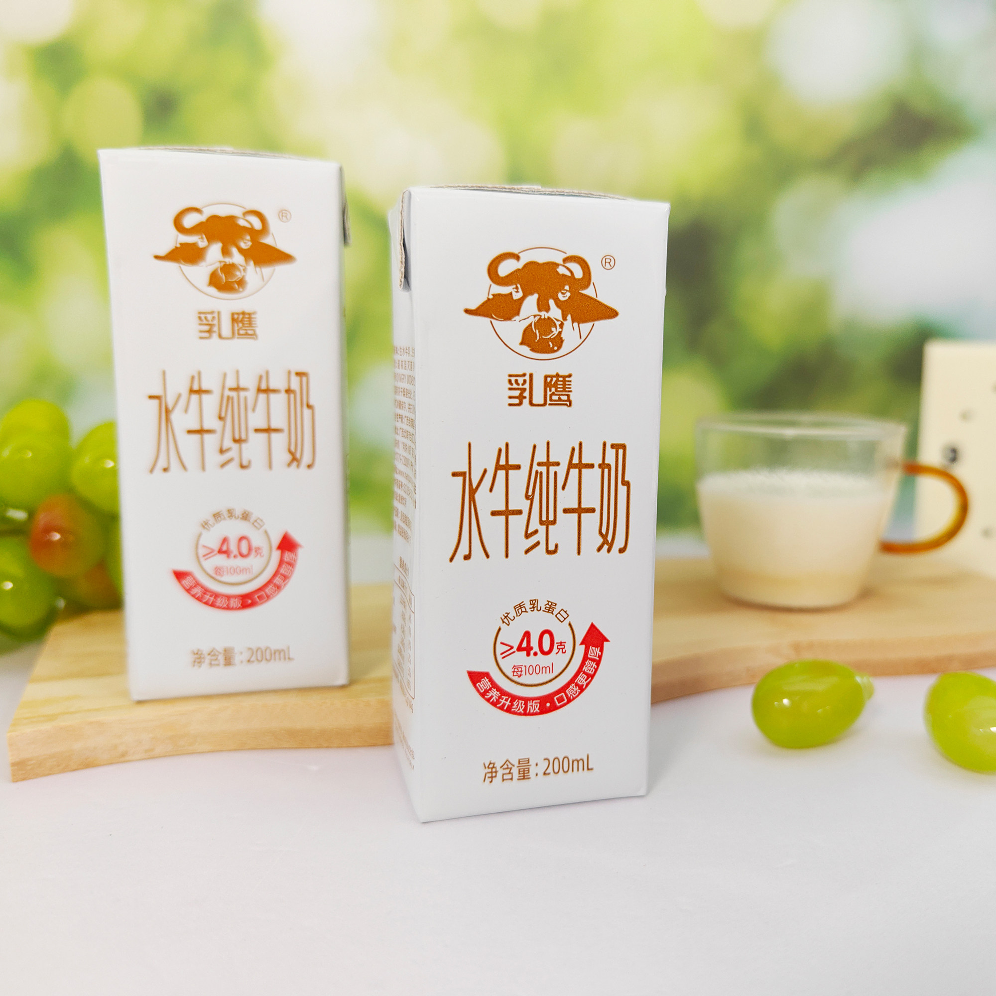 乳鹰水牛奶广西南国乳业水牛纯牛奶吃甘蔗的高钙水牛奶正品授权店,淘宝优惠券,粉丝福利购,淘宝优惠卷