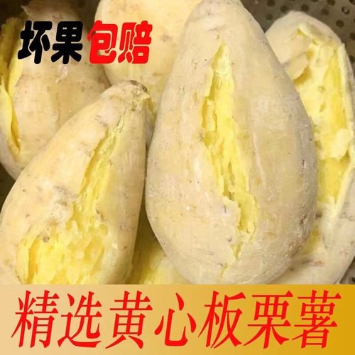 潮汕农家现黄心板栗红薯新鲜鸡蛋黄粉地瓜香甜粉糯小香薯3斤5斤装 - 图1