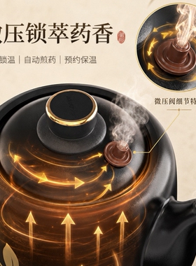 微压萃取中药专用电煎壶分体式砂锅电煎药壶全自动煎药2026新款
