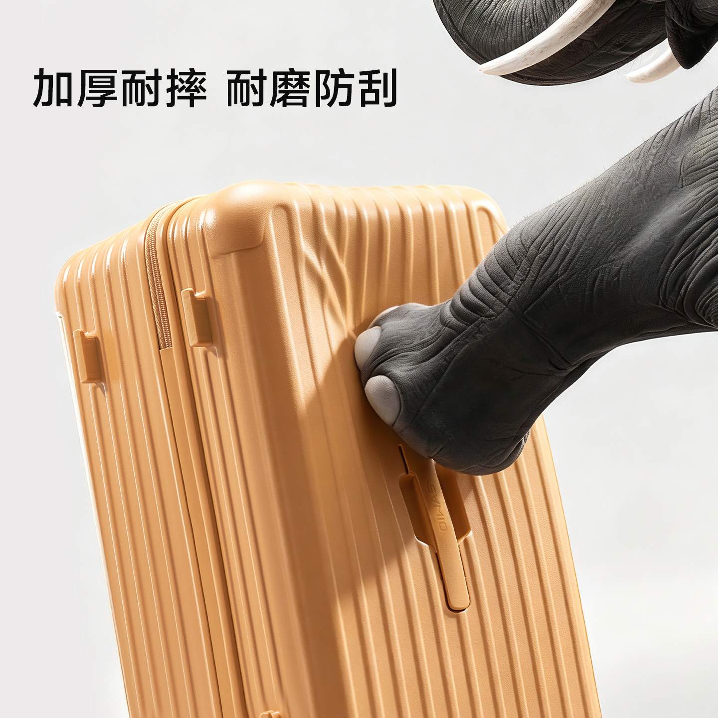 图 5