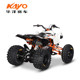 Huayang Racing A300 All-terrain car off-road ATV Electric start Non-on-road