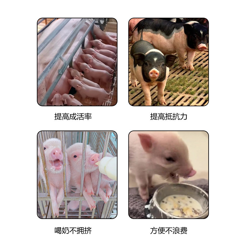 兽用奶瓶喂奶器羊羔喂奶神器仔猪奶瓶猪崽奶壶哺乳养殖设备,淘宝优惠券,粉丝福利购,淘宝优惠卷