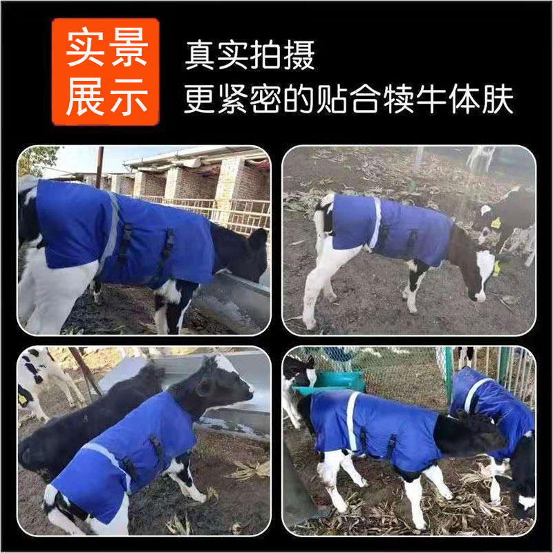 犊牛马甲小牛保暖衣刚出生小牛犊衣服防水防寒加绒加大加厚牛背服