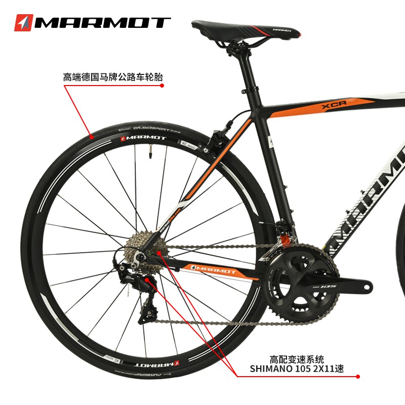 全球十大自行车品牌排名高端专业超轻耐力弯把公路车赛车成人单车
