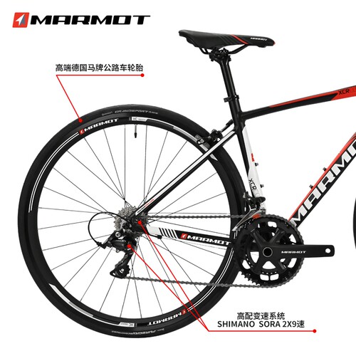 全球十大自行车品牌排名高端专业超轻耐力弯把公路车赛车成人单车 - 图1
