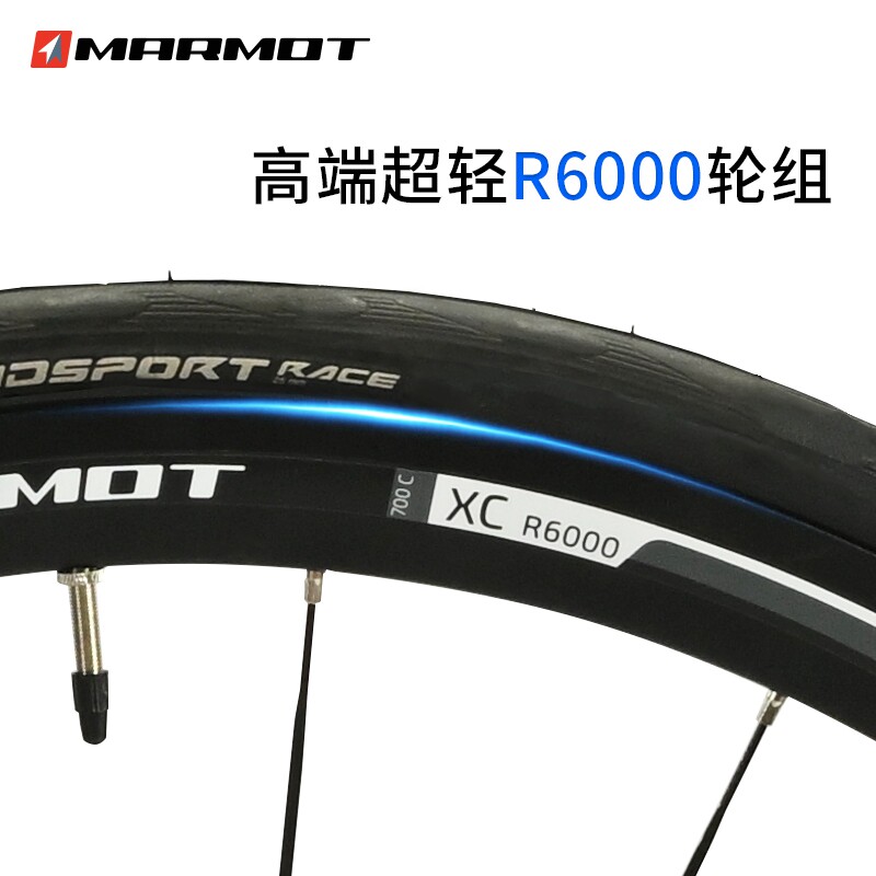 全球十大自行车品牌排名高端专业超轻耐力弯把公路车赛车成人单车