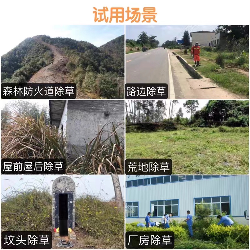 正品特卖环嗪酮颗粒除草剂 斩草除根烂根高浓度除草剂连根烂 - 图1