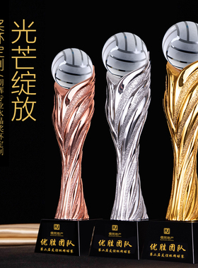 【送荣誉证书】排球奖杯定制定制气排球比赛团体纪念品优秀员年会