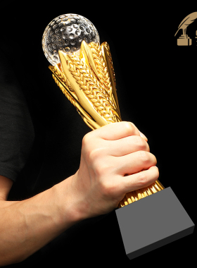 水晶奖杯定制树脂篮球足球高尔夫排球团体奖座刻字麦穗比赛体年会