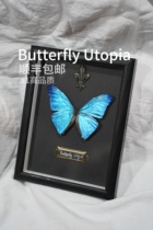 Butterfly Utopia | Original Flash Butterfly Antonis Real Butterfly Punk Rock Metal Blue Send People Gift Subs