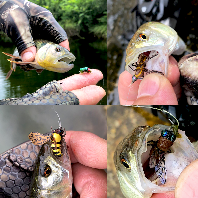 品钓浮水仿生苍蝇蜜蜂路亚饵飞蝇饵昆虫假饵拟饵虫型饵马口白条-图0