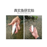 PIN Diao Luya Sequenant Clower Sequenant Белый полосатый верхний шаг кредит приманка фальшивая приманка.
