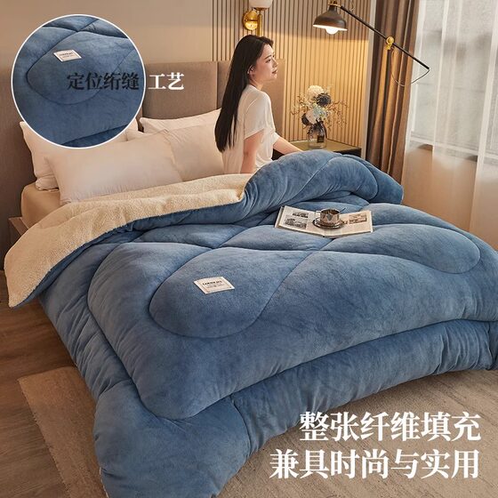 Lamb velvet double-sided velvet quilt winter thickened warm quilt student dormitory single space quilt