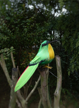 仿真装饰彩色田园风家居橱窗小鸟