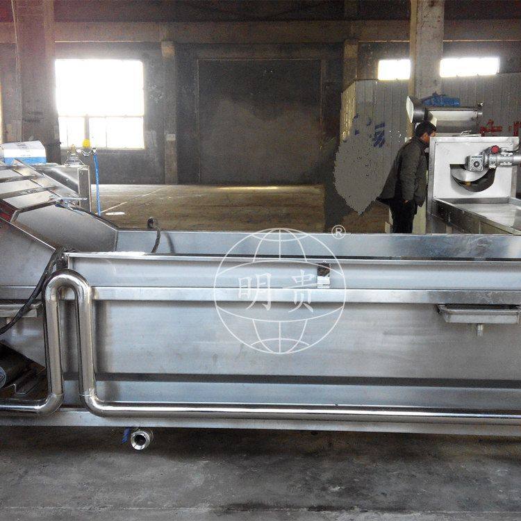 蔬菜水果清洗线 不锈钢气浴式洗菜机 自动果蔬喷淋清洗机莲藕,淘宝优惠券,粉丝福利购,淘宝优惠卷