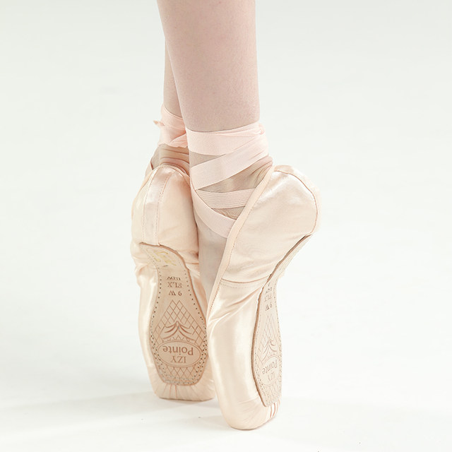 Sansha Pointe Shoes Hard Shoes Beginners Satin ID