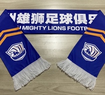 Cangzhou Xionglions in Superscarves 2023 Cangzhou Football for Cangzhou Fans Supplies Scarves for fans