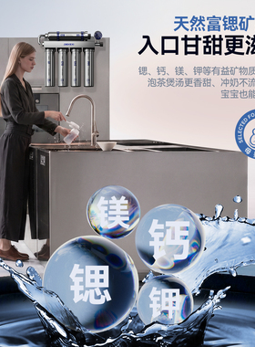 德国德克西五级家用超滤净水器