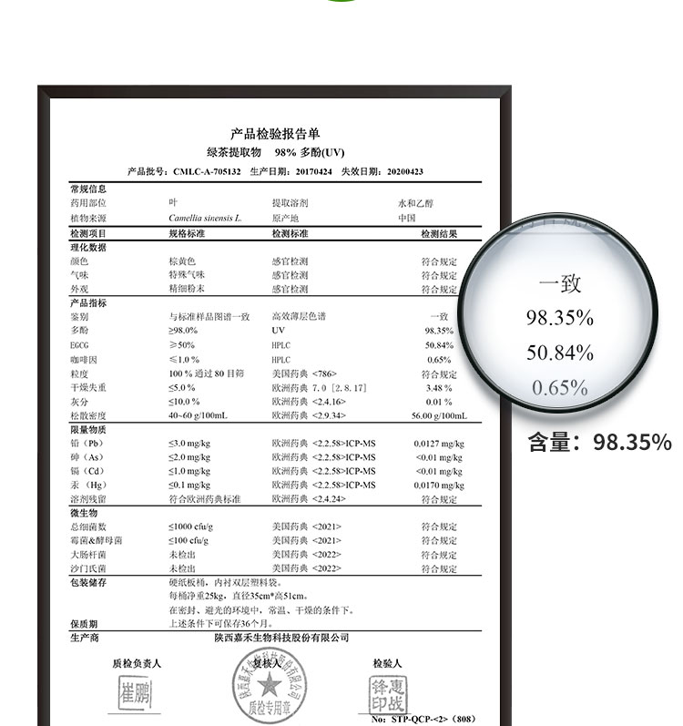 天然食品级茶多酚粉绿茶提取物水果饮料防腐剂保鲜抗氧化剂化妆品 - 图2