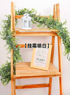 仿真尤加利藤条藤蔓绿植