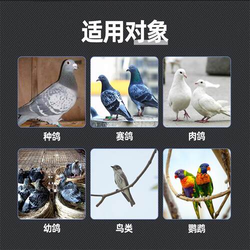 西农之光鸽药超能益佳肽1kg信鸽饲料中药粉活菌肠道霉菌肠道调理 - 图2