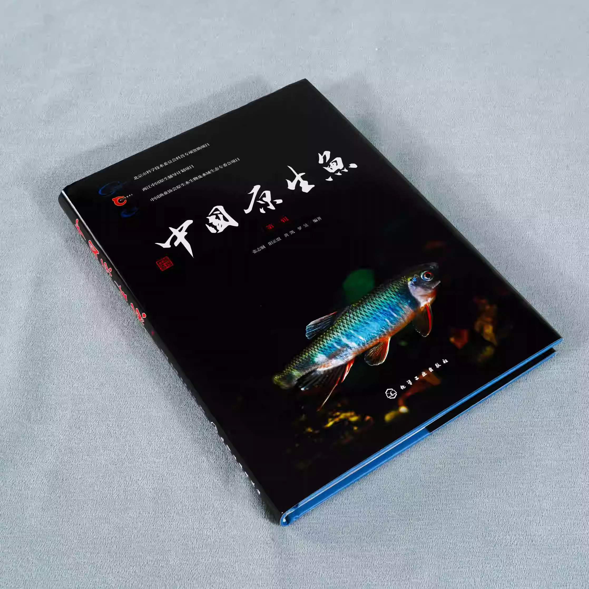 图4