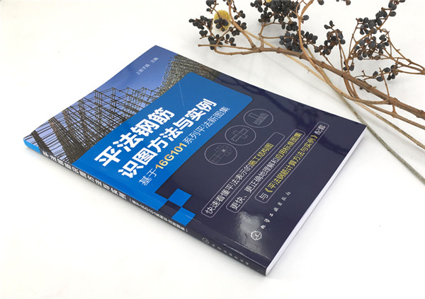 平法钢筋识图方法与实例 基于16G101系列平法新图集 平法识图与钢筋计算 建筑工程钢筋图纸识图教程 混凝土结构施工图设计规范书籍 - 图1