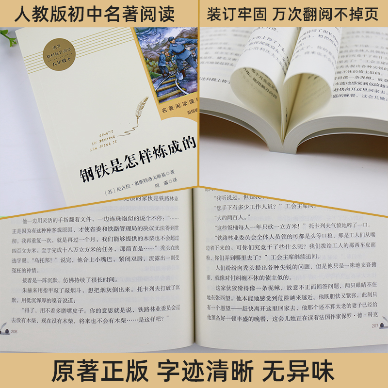 钢铁是怎样炼成的人教版初中八年级下册语文正版原著书完整版人民教育出版社初中生八年级下册语文课外阅读名著-图1