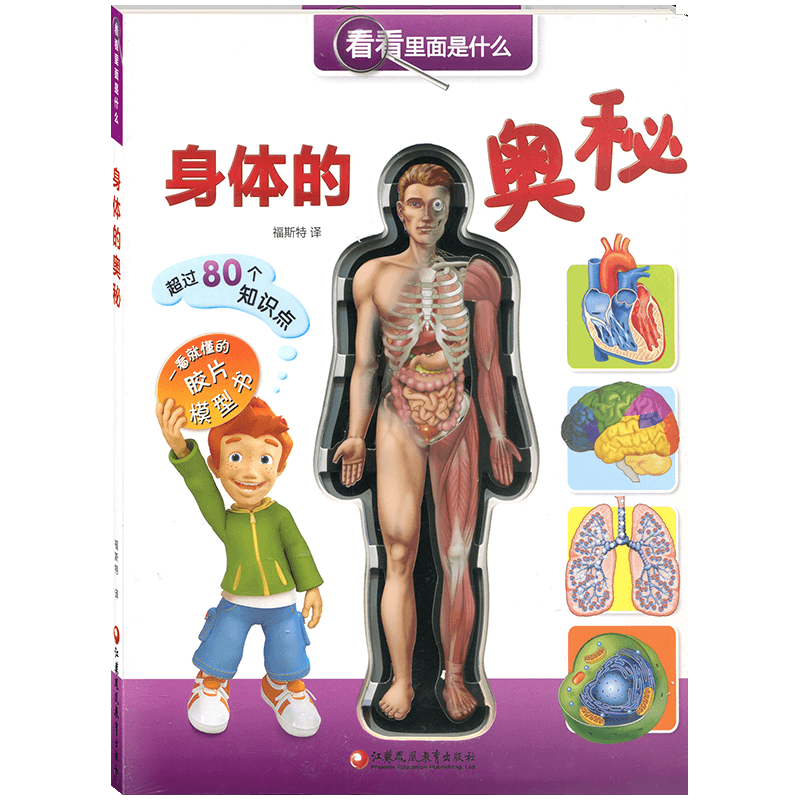 幼儿人体模型 新人首单立减十元 21年7月 淘宝海外